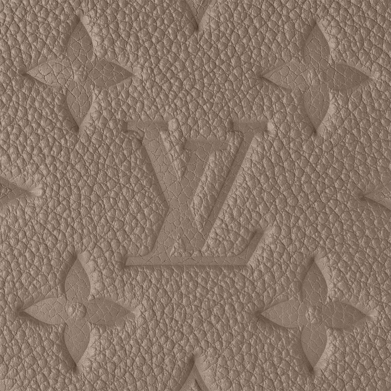 Túi Louis Vuitton Easy Pouch On Strap Nữ Xám